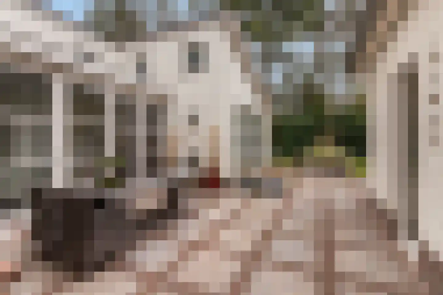 Bosweg 105 Apeldoorn thumbnail 12
