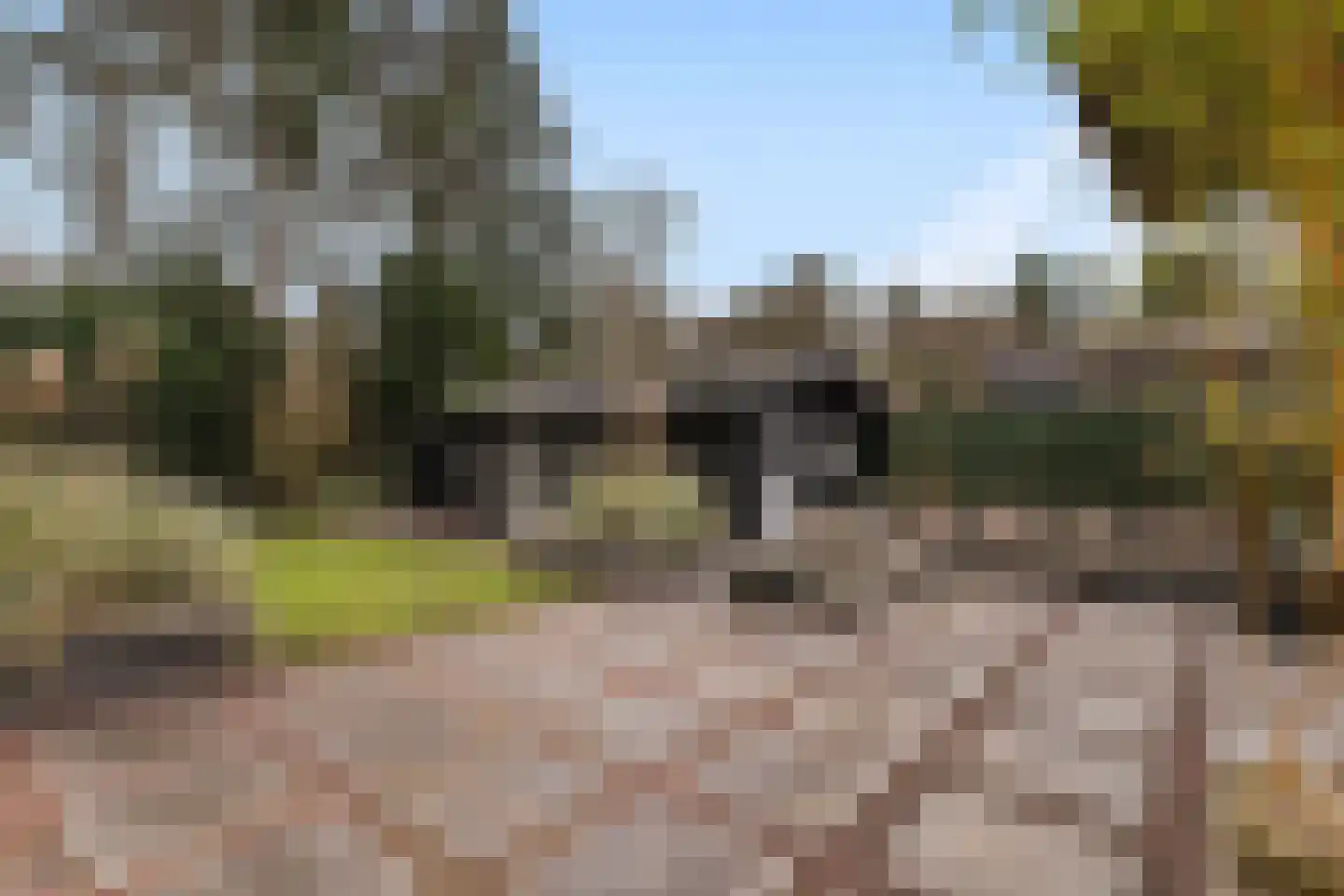 Bosweg 105 Apeldoorn thumbnail 14