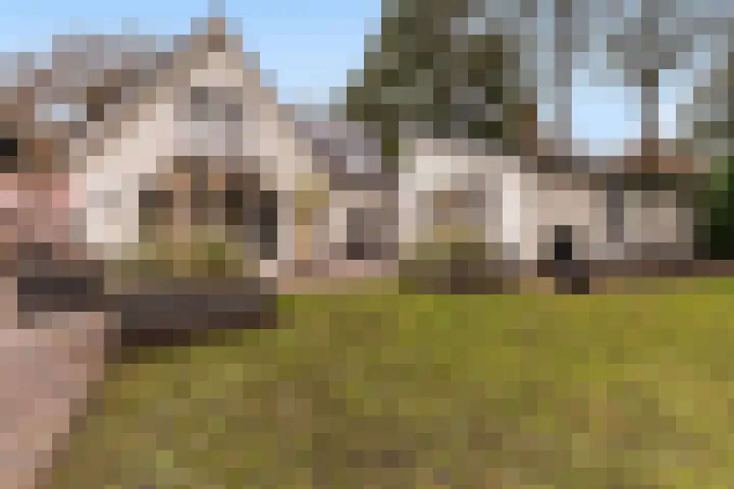 Bosweg 105 Apeldoorn thumbnail 17