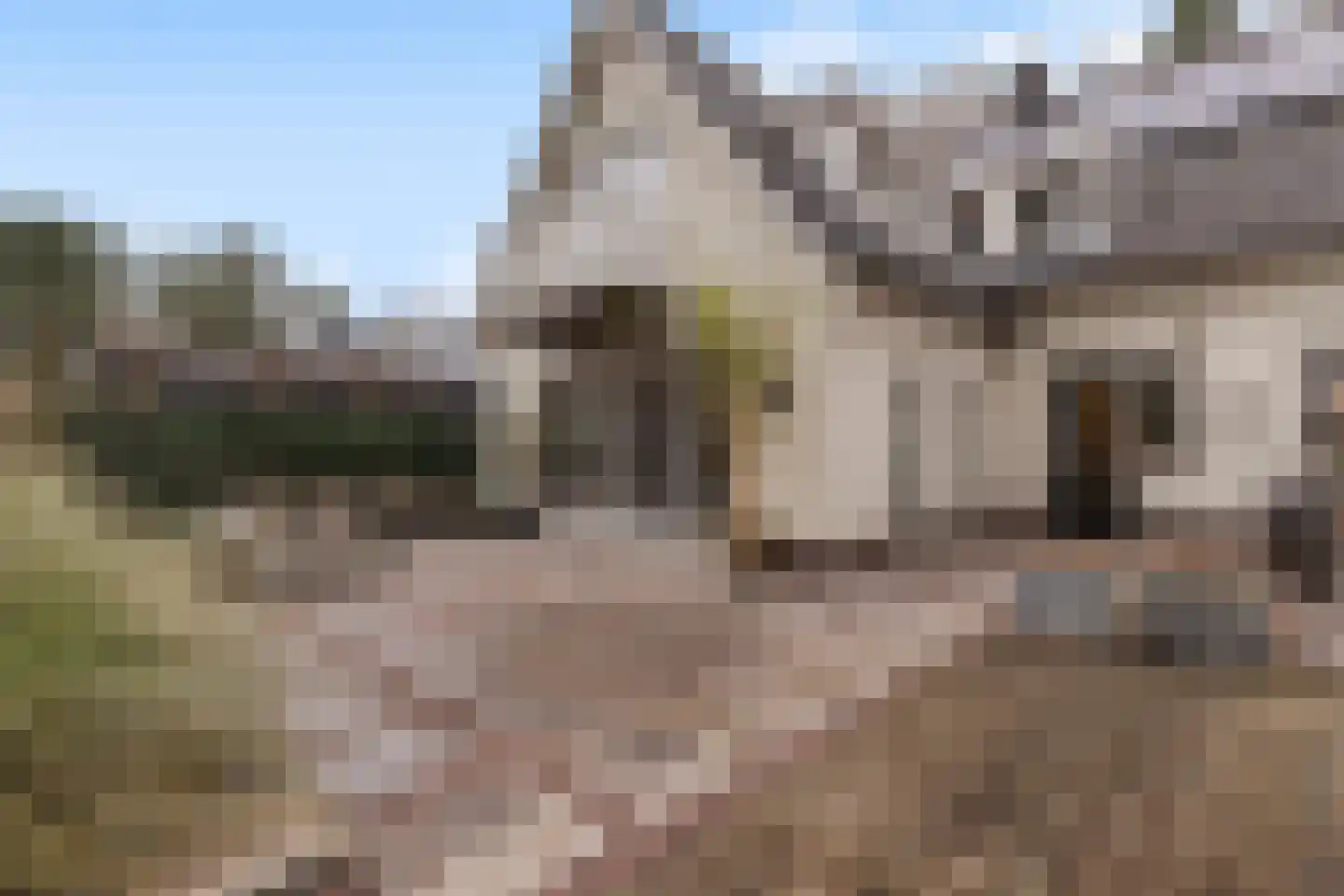 Bosweg 105 Apeldoorn thumbnail 18