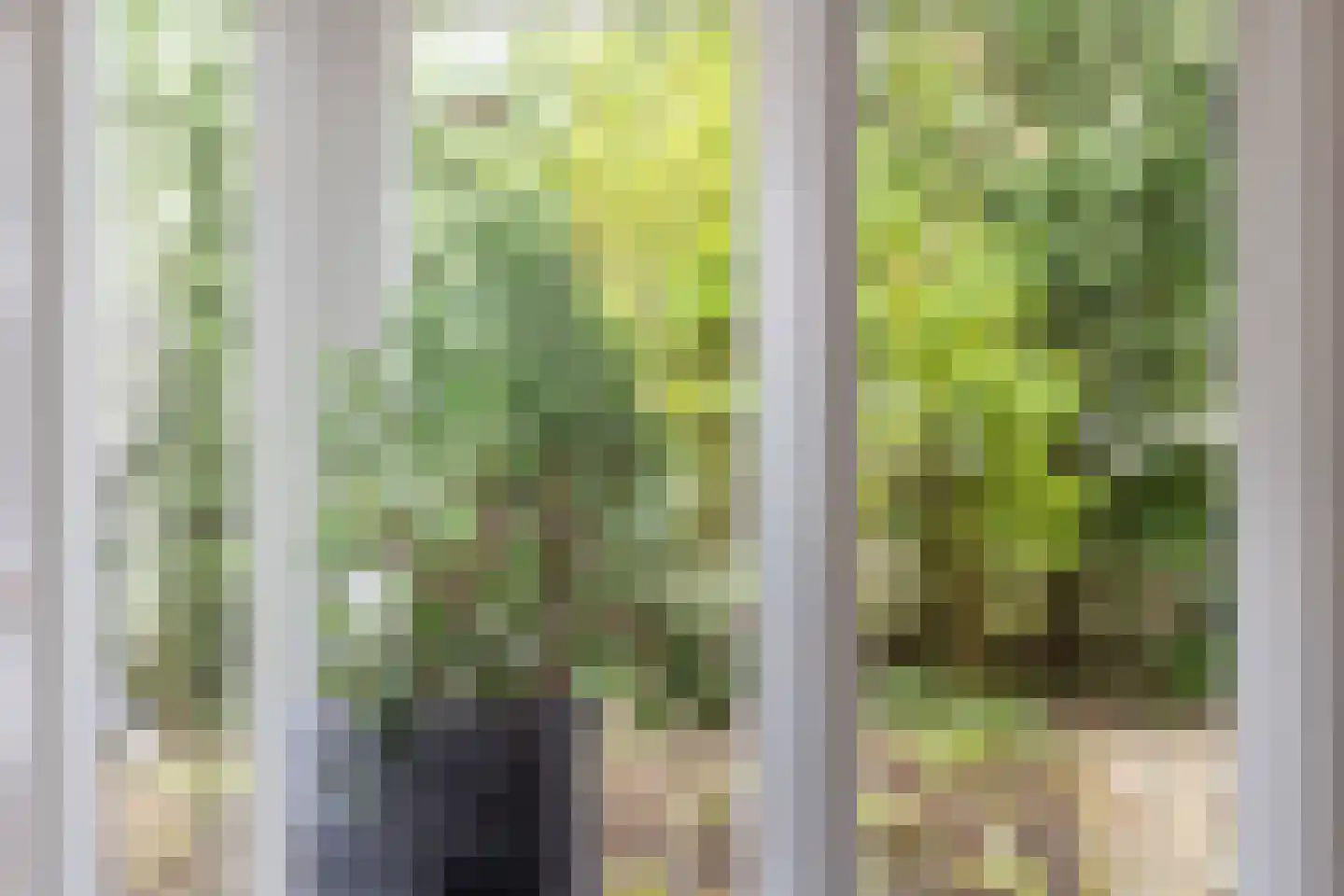 Bosweg 105 Apeldoorn thumbnail 20