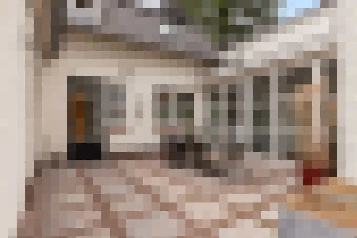 Bosweg 105 Apeldoorn thumbnail 20
