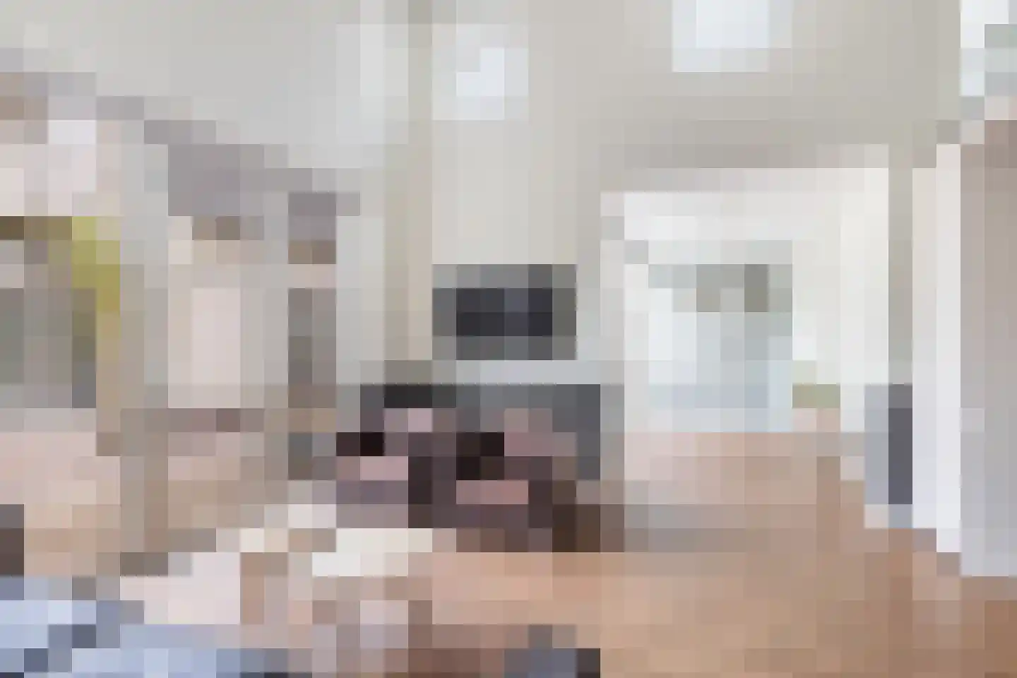Bosweg 105 Apeldoorn thumbnail 24