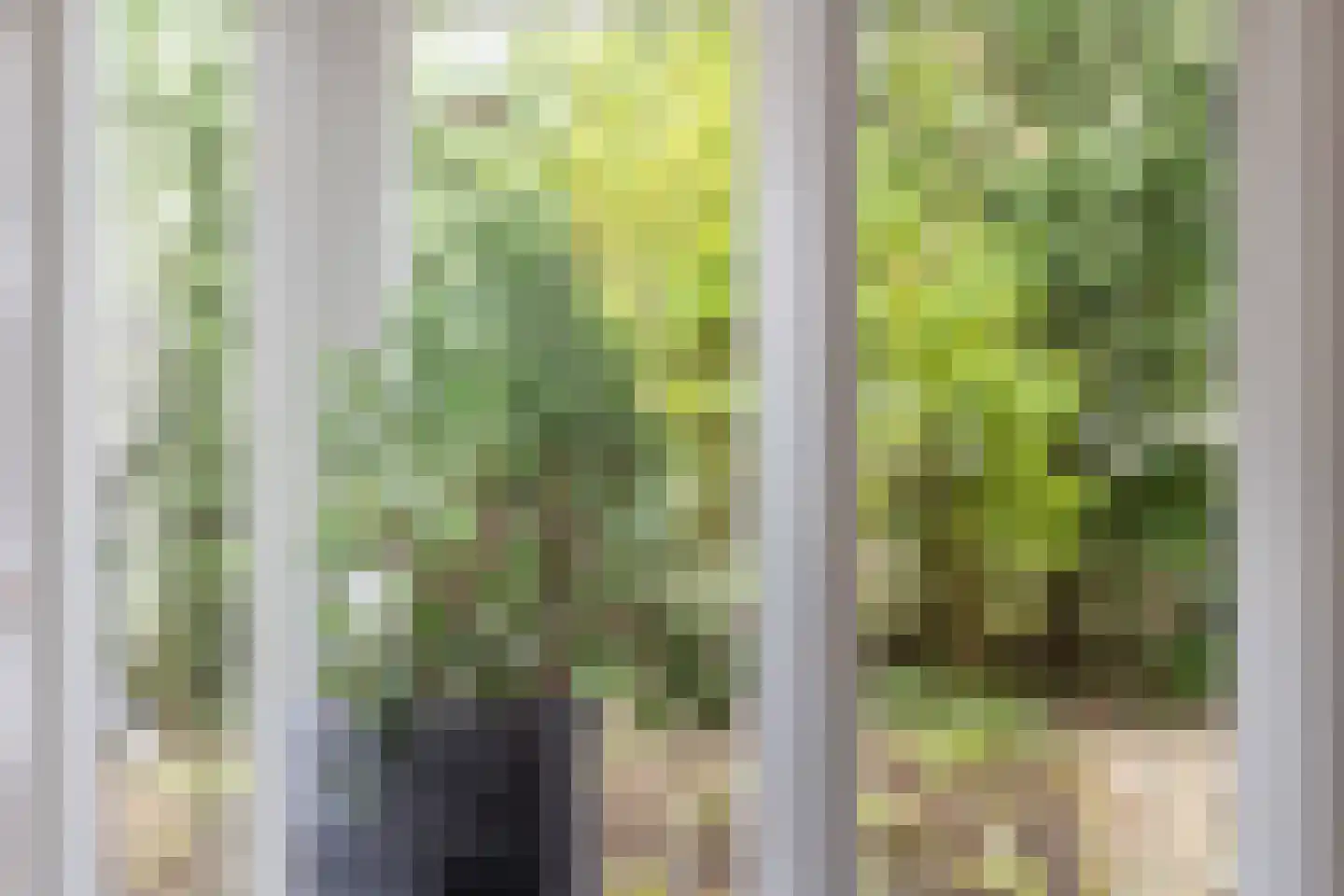 Bosweg 105 Apeldoorn thumbnail 32