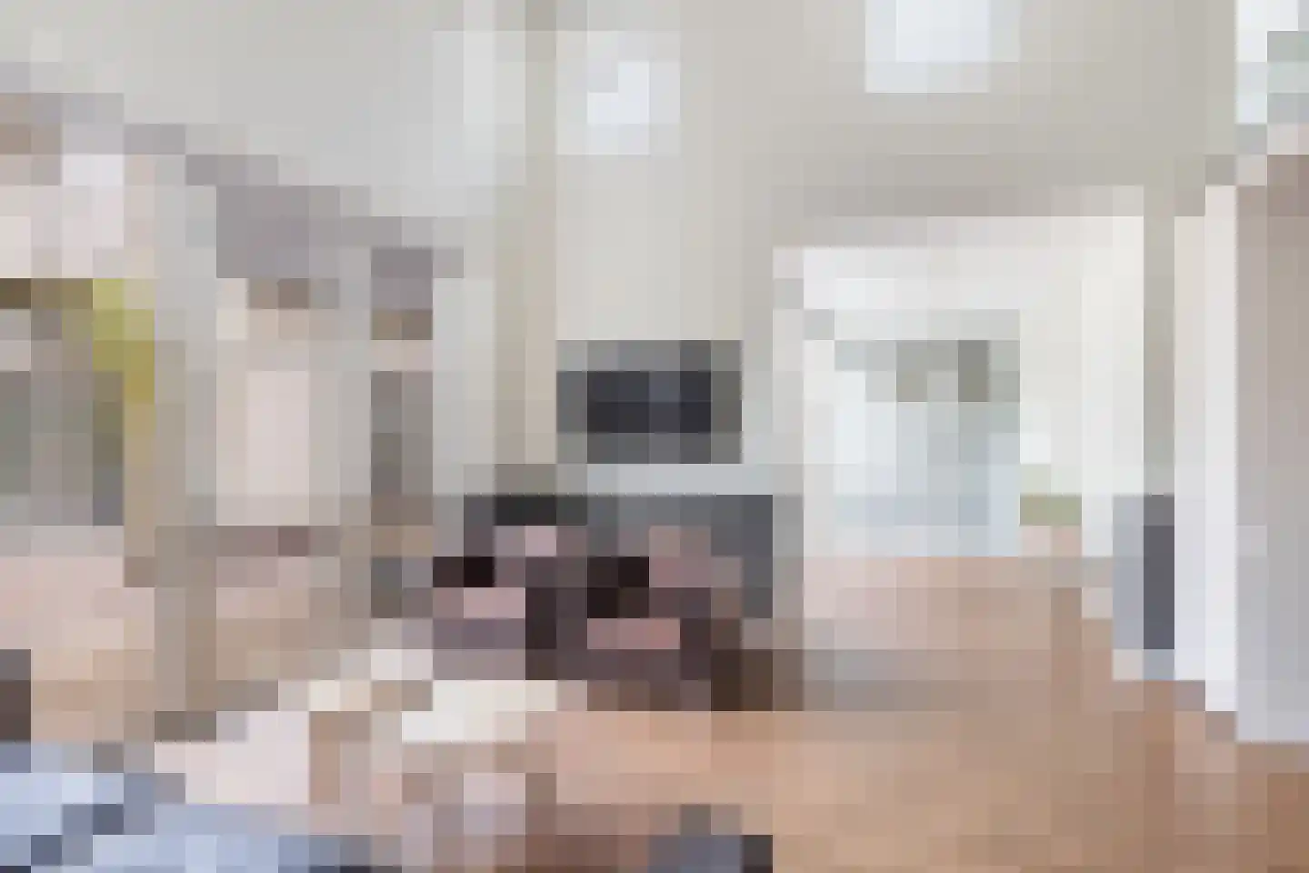 Bosweg 105 Apeldoorn thumbnail 36
