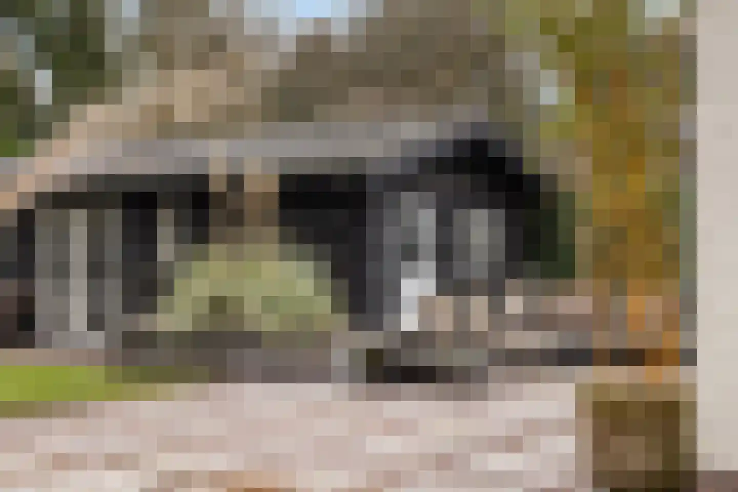 Bosweg 105 Apeldoorn thumbnail 4