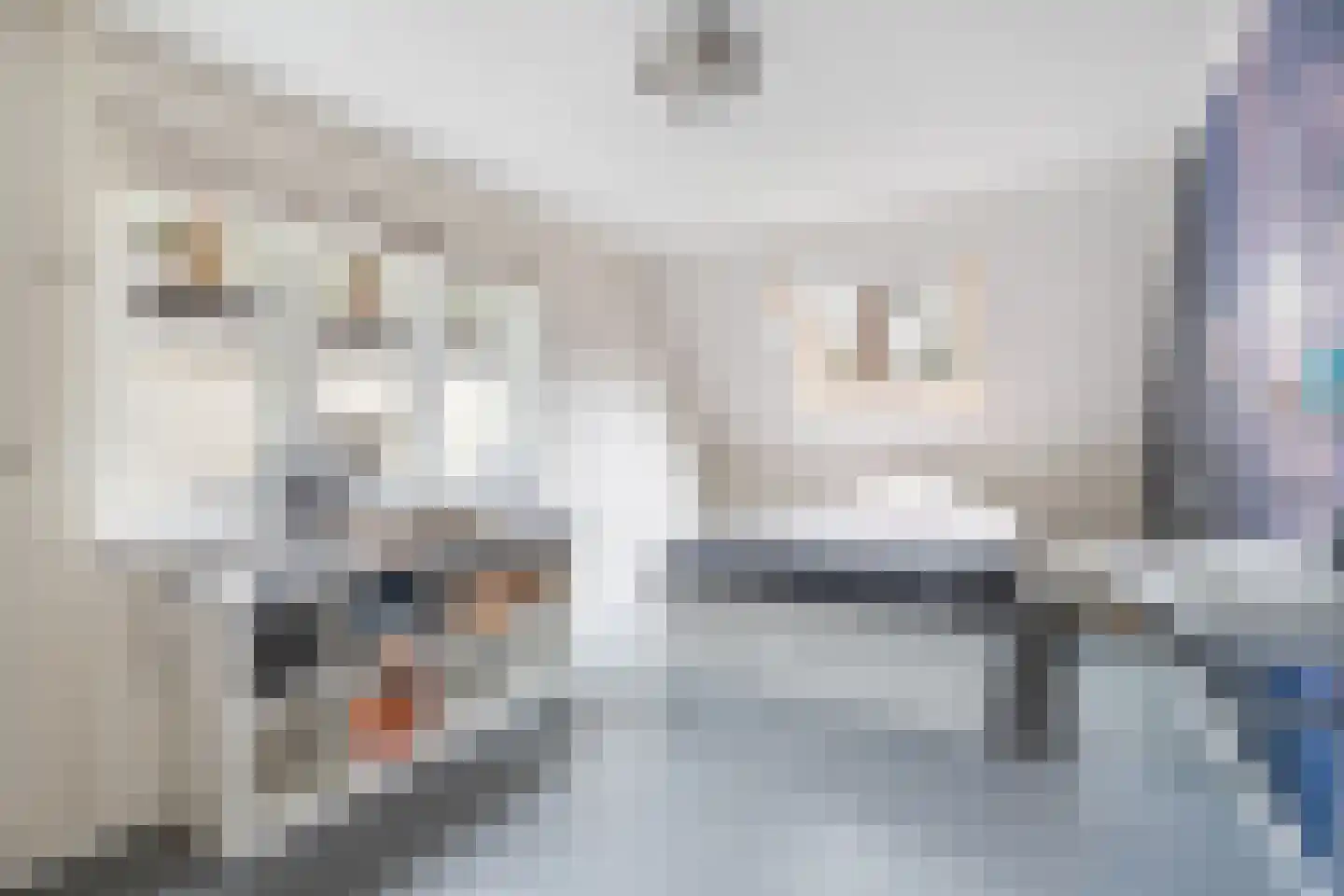 Bosweg 105 Apeldoorn thumbnail 44