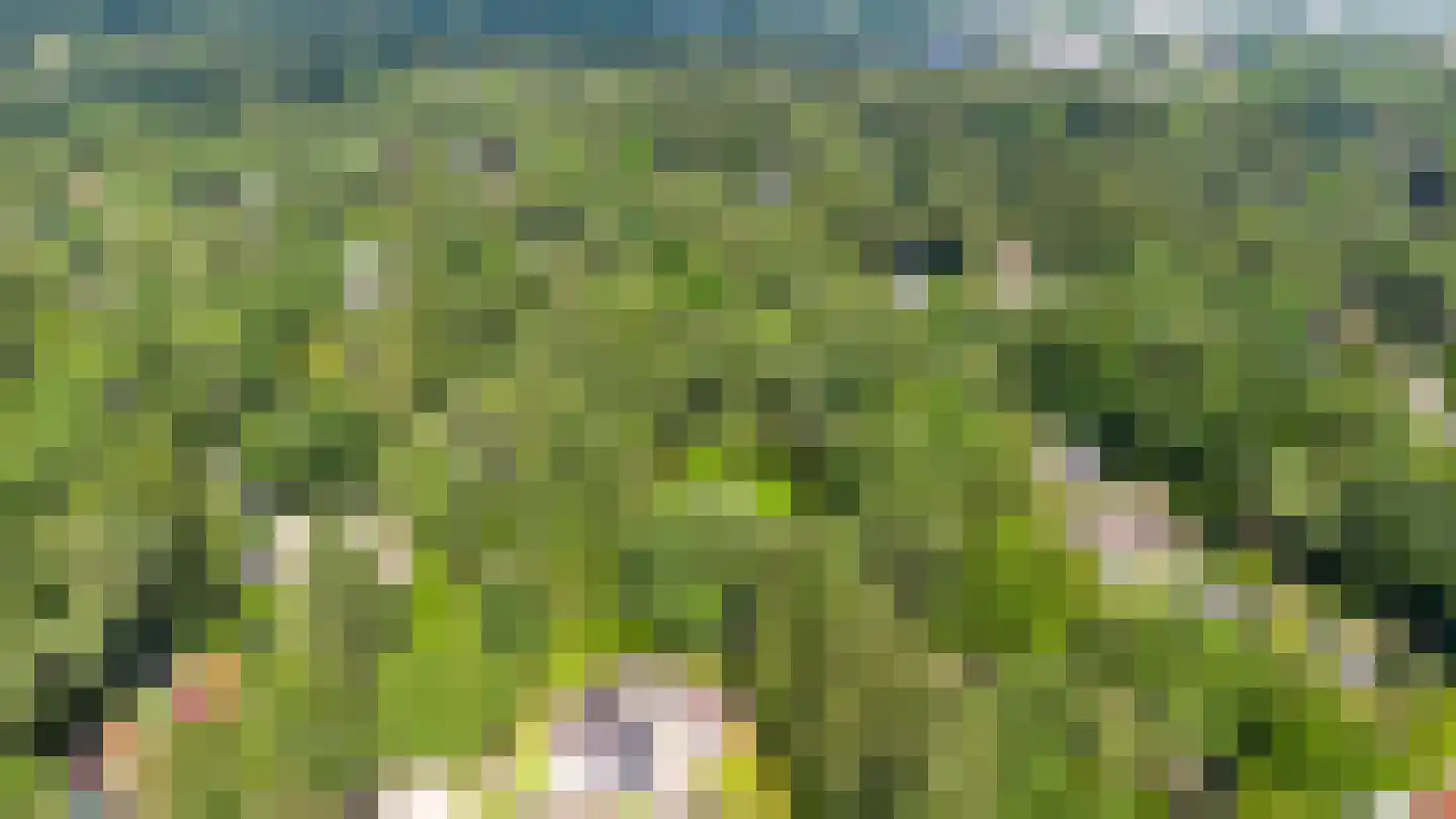 Bosweg 105 Apeldoorn thumbnail 47