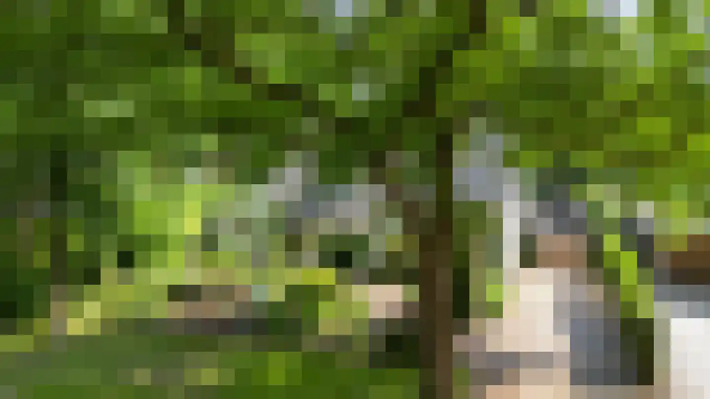 Bosweg 105 Apeldoorn thumbnail 49