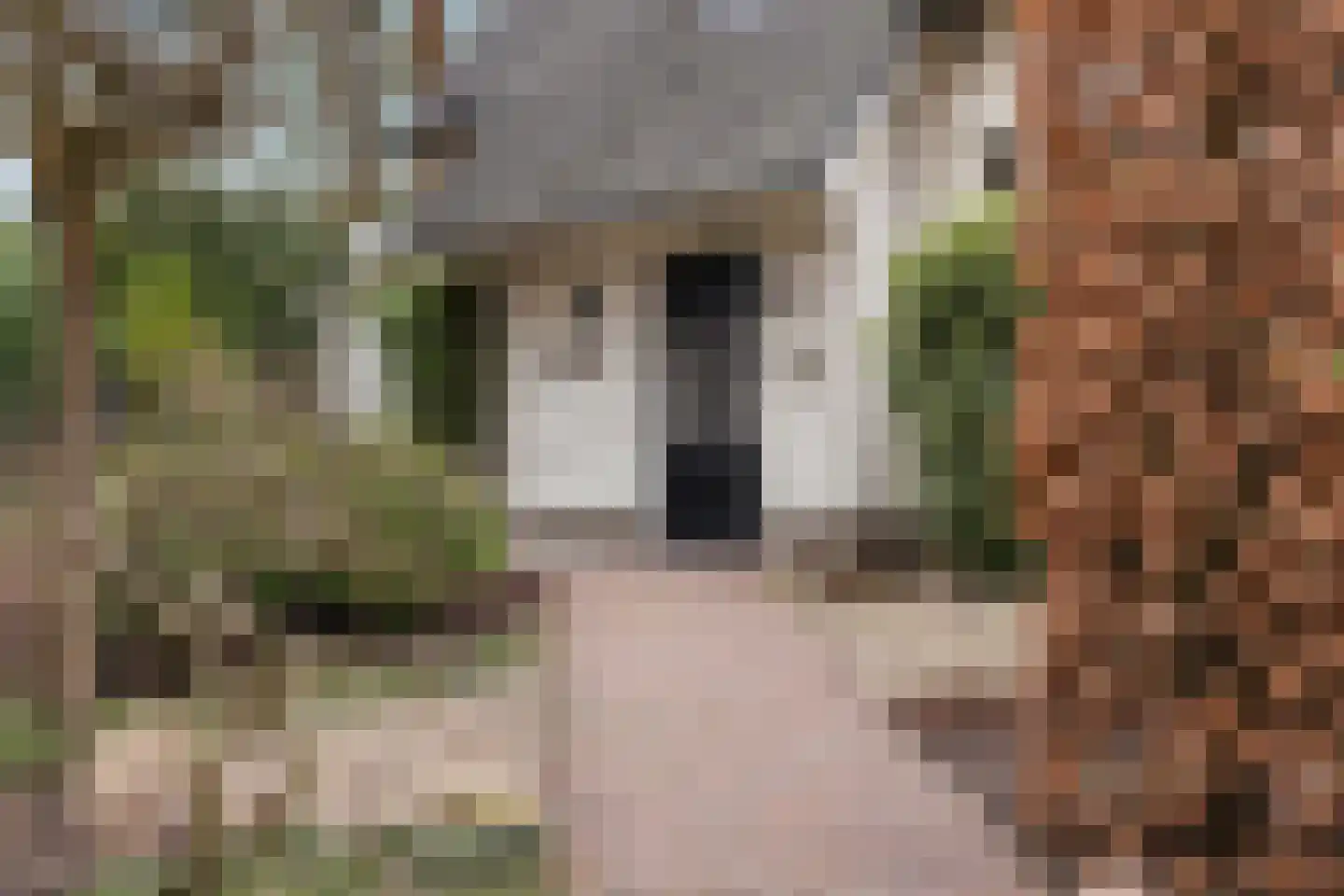 Bosweg 105 Apeldoorn thumbnail 5