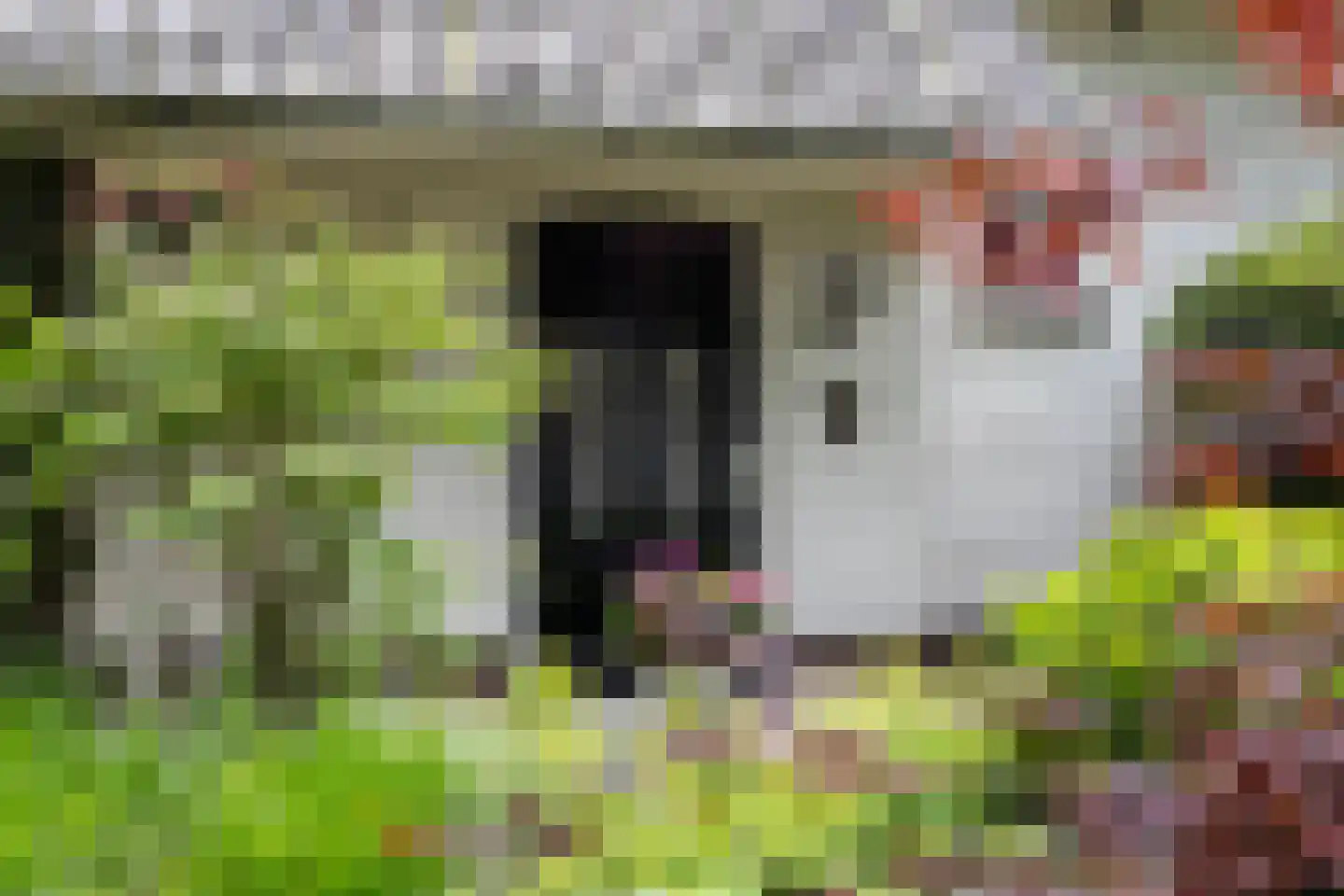 Bosweg 105 Apeldoorn thumbnail 51