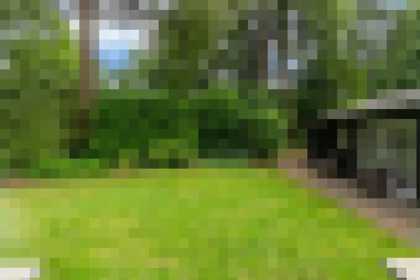 Bosweg 105 Apeldoorn thumbnail 52