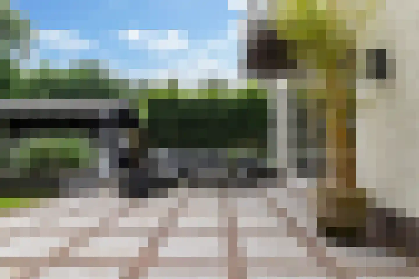 Bosweg 105 Apeldoorn thumbnail 54