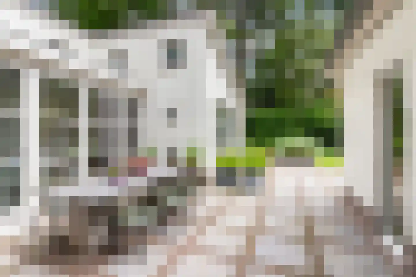 Bosweg 105 Apeldoorn thumbnail 57
