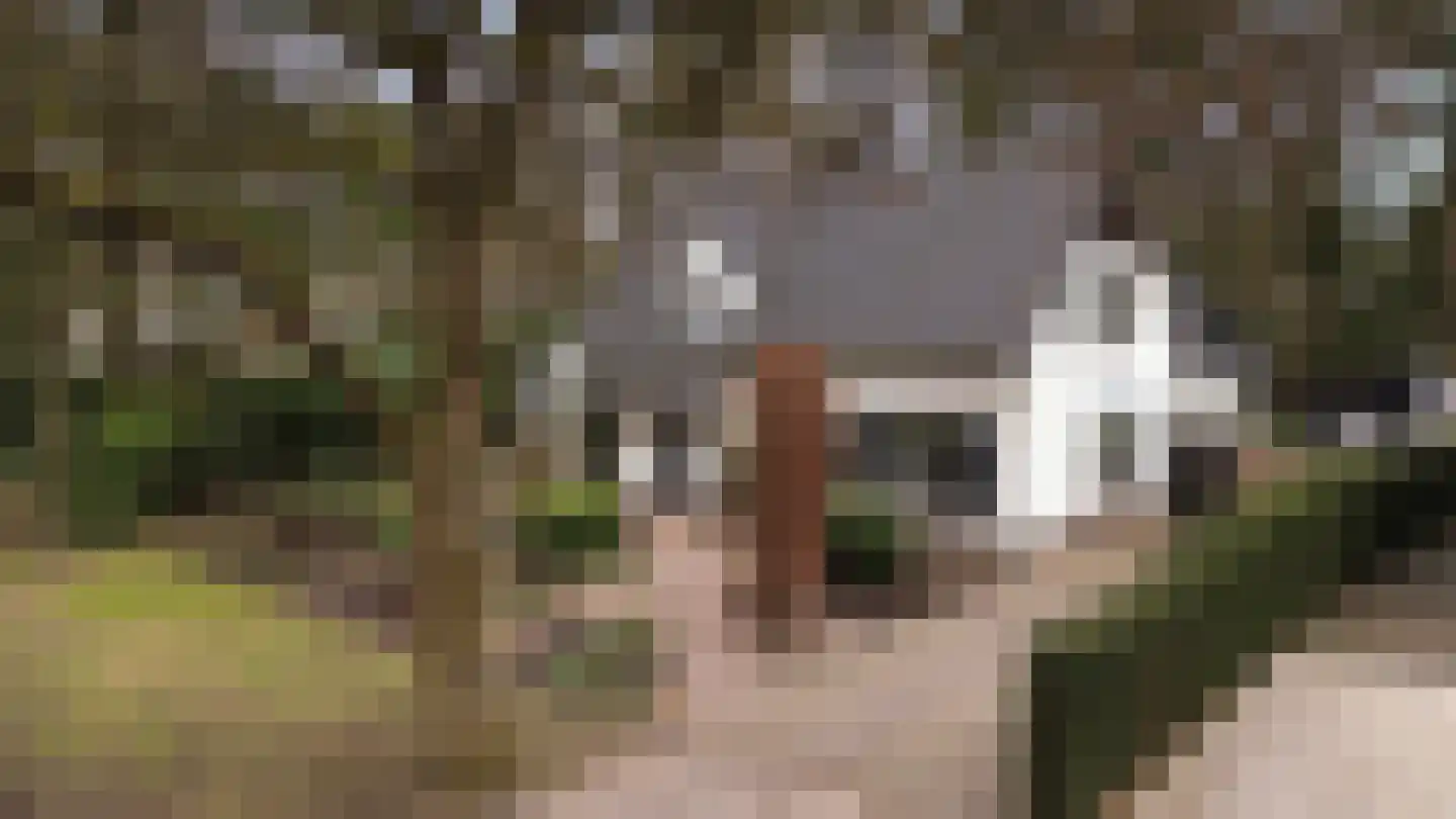 Bosweg 105 Apeldoorn thumbnail 59