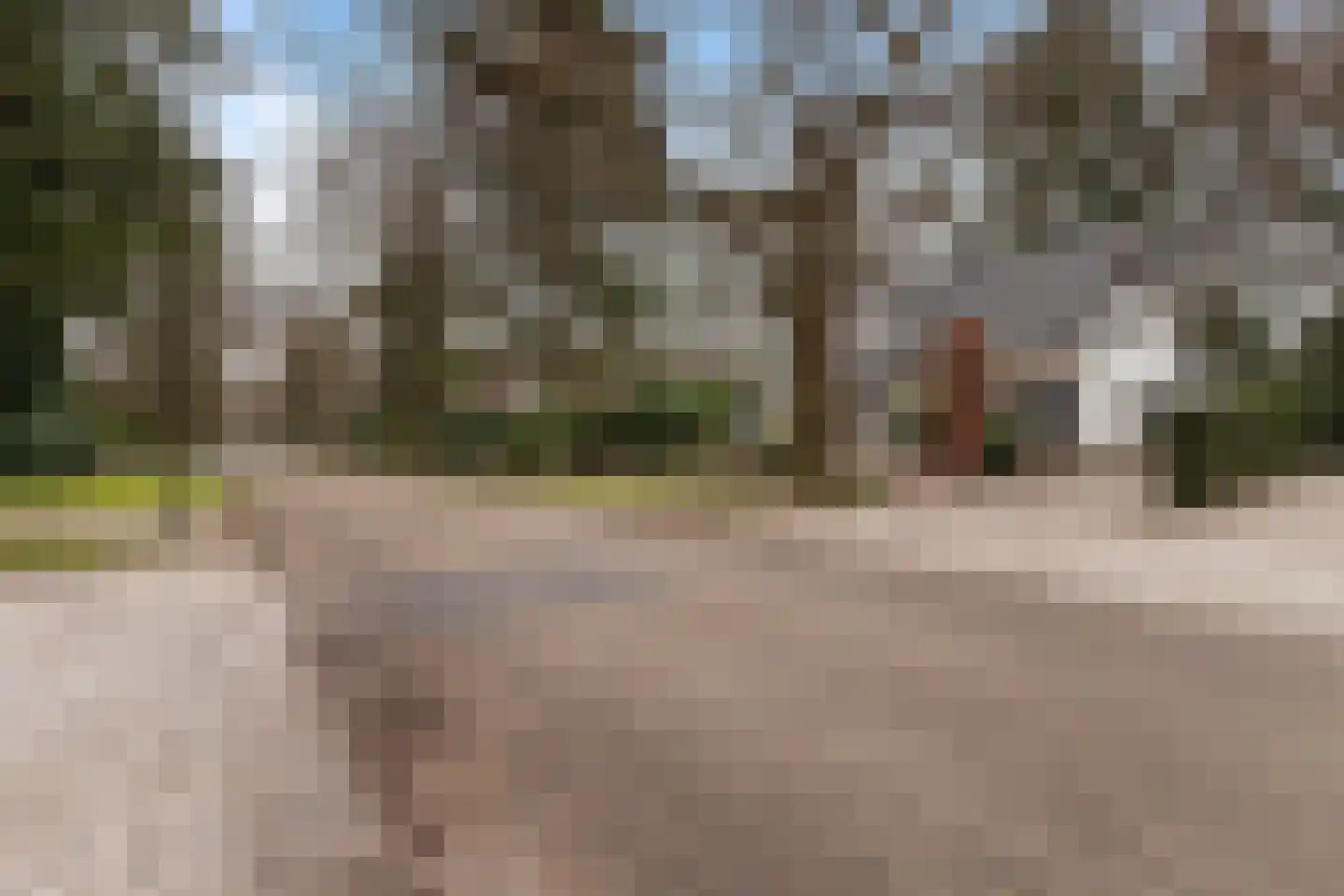 Bosweg 105 Apeldoorn thumbnail 60