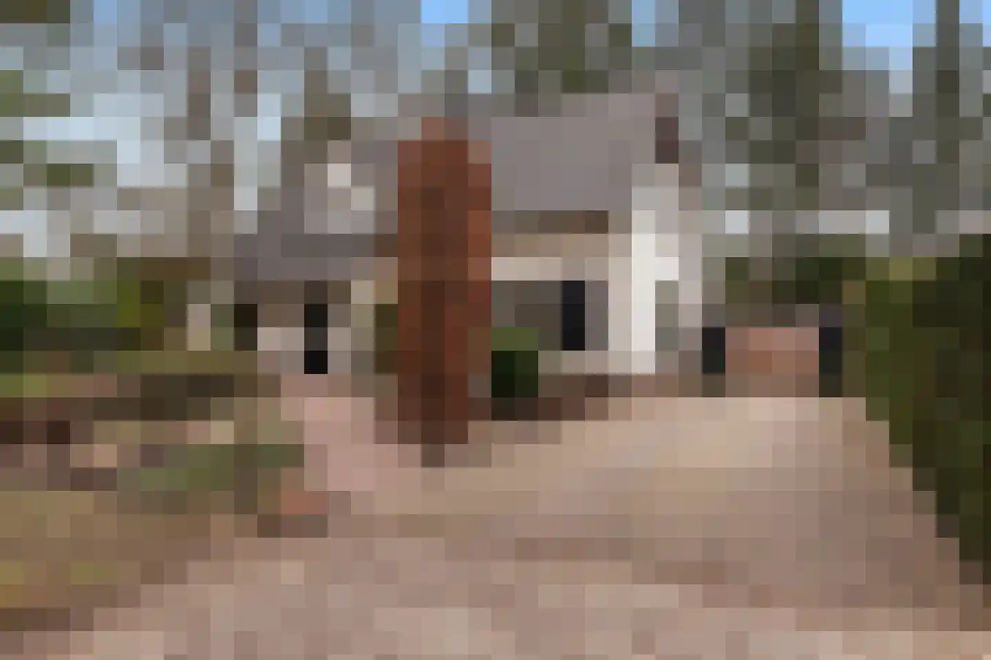 Bosweg 105 Apeldoorn thumbnail 61