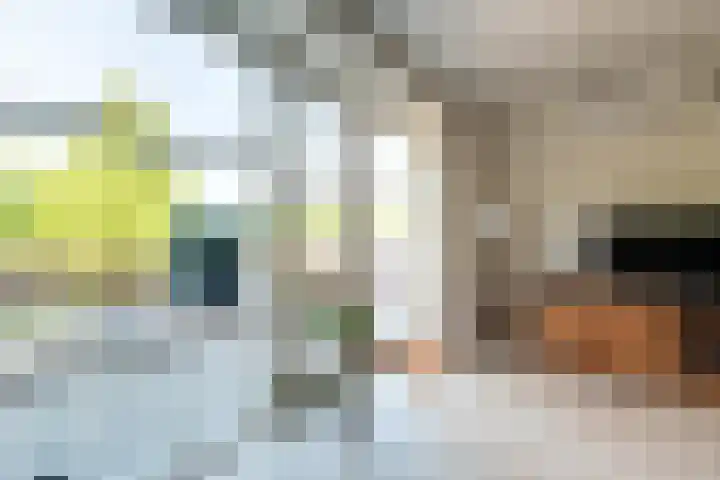 Bosweg 11 a Leek thumbnail 15