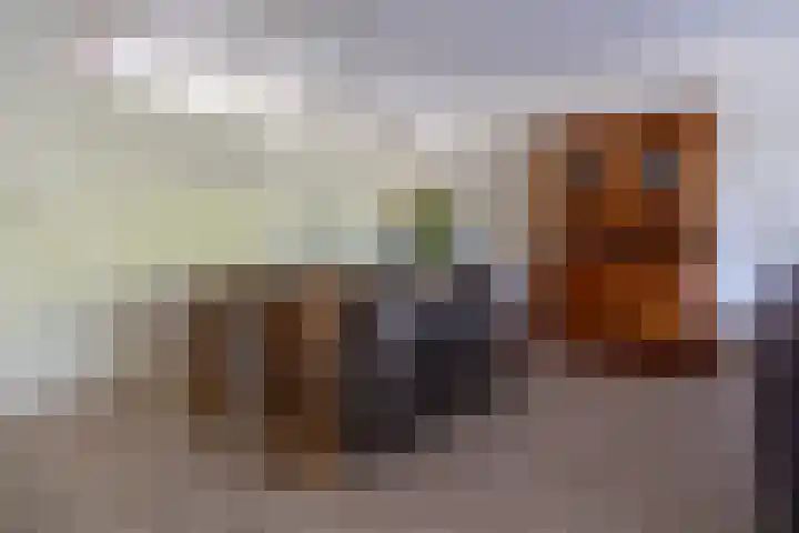 Bosweg 11 a Leek thumbnail 16