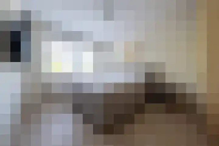 Bosweg 11 a Leek thumbnail 21