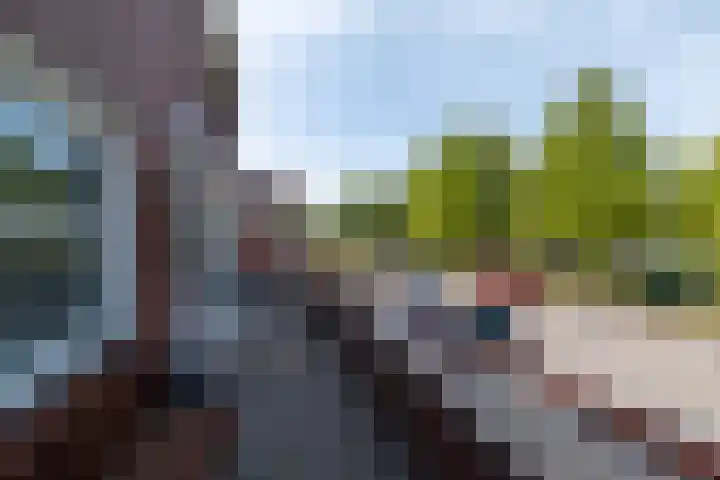 Bosweg 11 a Leek thumbnail 30