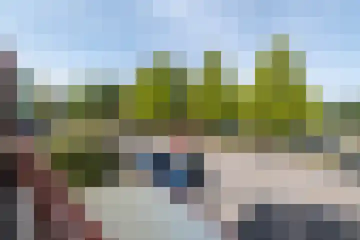 Bosweg 11 a Leek thumbnail 31
