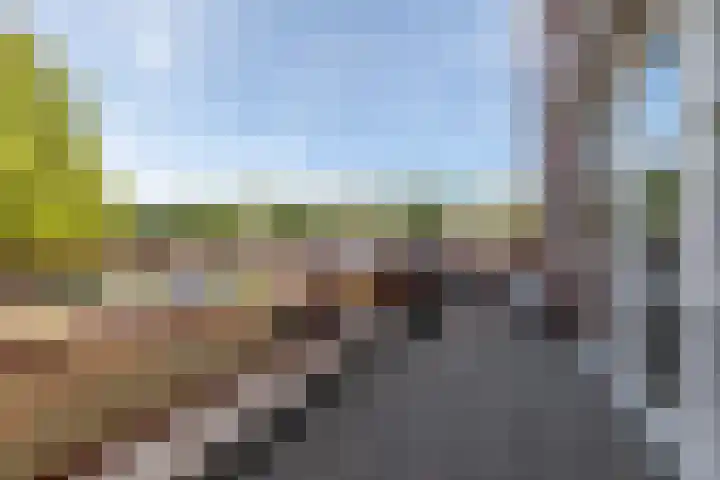 Bosweg 11 a Leek thumbnail 4