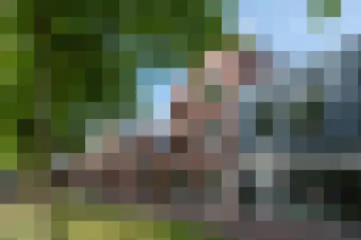 Bosweg 11 a Leek thumbnail 7