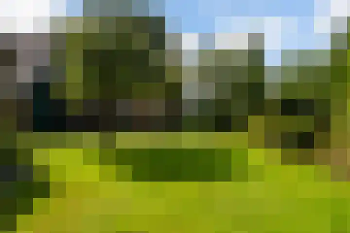 Bosweg 11 Witteveen thumbnail 10