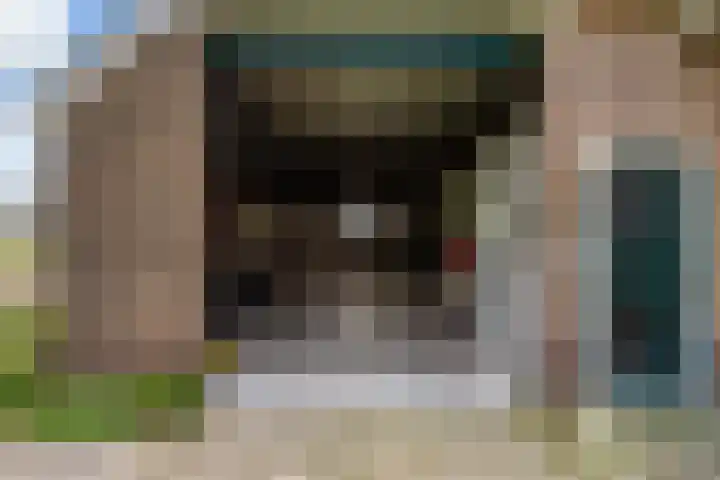 Bosweg 11 Witteveen thumbnail 12