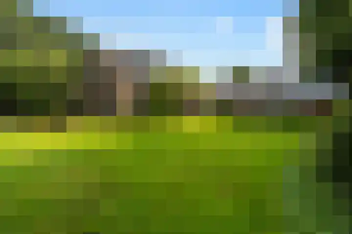 Bosweg 11 Witteveen thumbnail 18