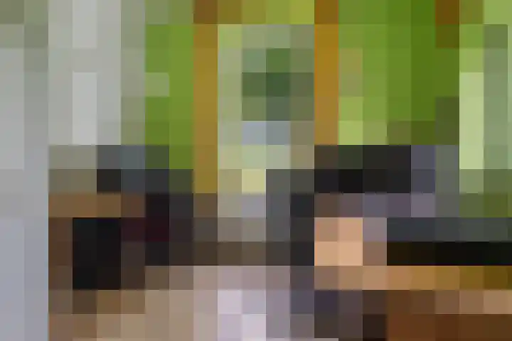 Bosweg 11 Witteveen thumbnail 22