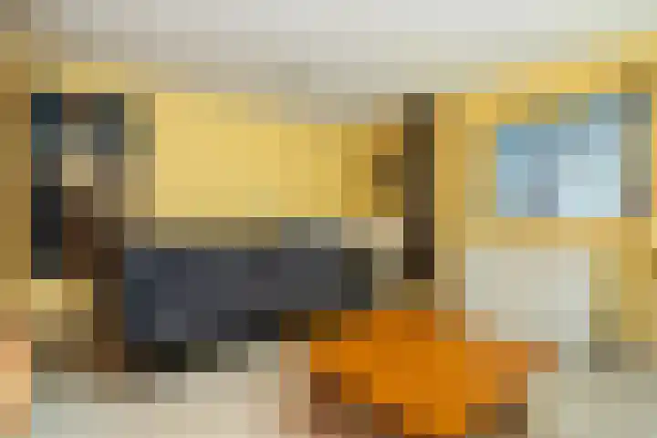 Bosweg 11 Witteveen thumbnail 23