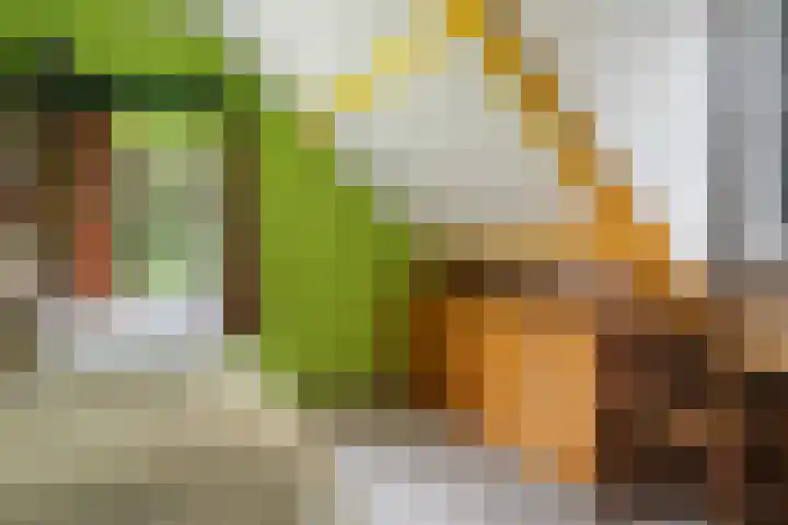 Bosweg 11 Witteveen thumbnail 25
