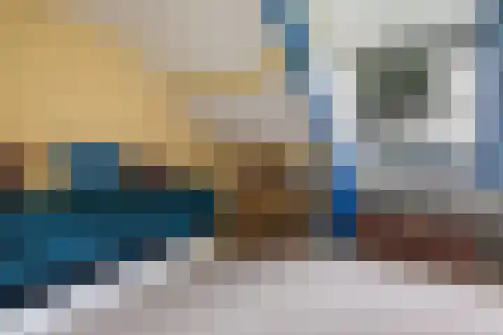 Bosweg 11 Witteveen thumbnail 26