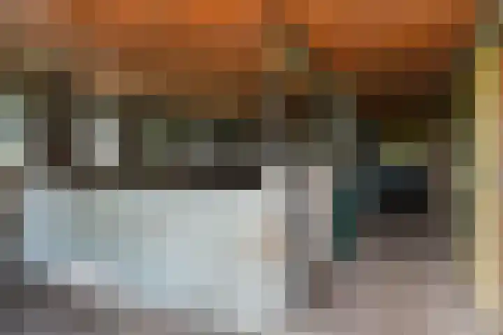 Bosweg 11 Witteveen thumbnail 37
