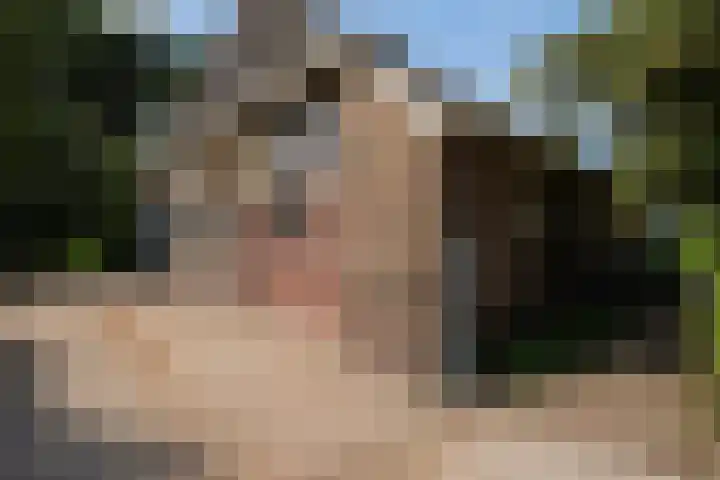Bosweg 11 Witteveen thumbnail 38