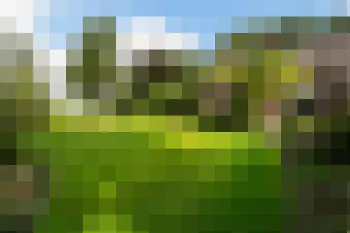Bosweg 11 Witteveen thumbnail 39