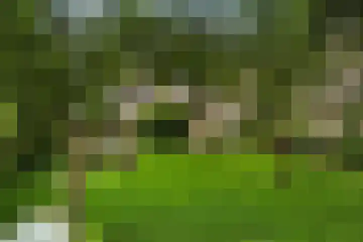 Bosweg 11 Witteveen thumbnail 4