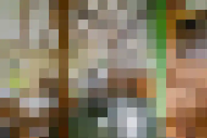 Bosweg 11 Witteveen thumbnail 42