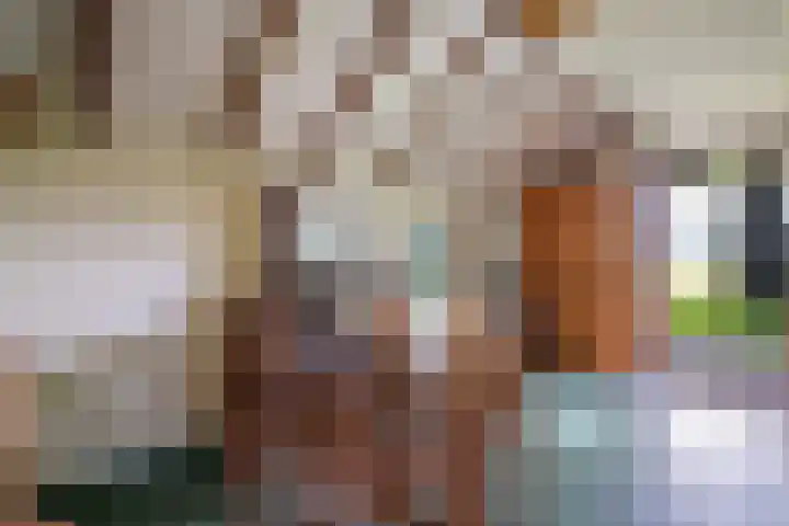 Bosweg 11 Witteveen thumbnail 43