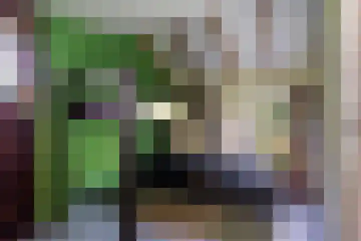 Bosweg 11 Witteveen thumbnail 44