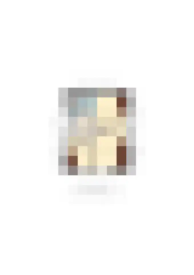 Bosweg 11 Witteveen thumbnail 46
