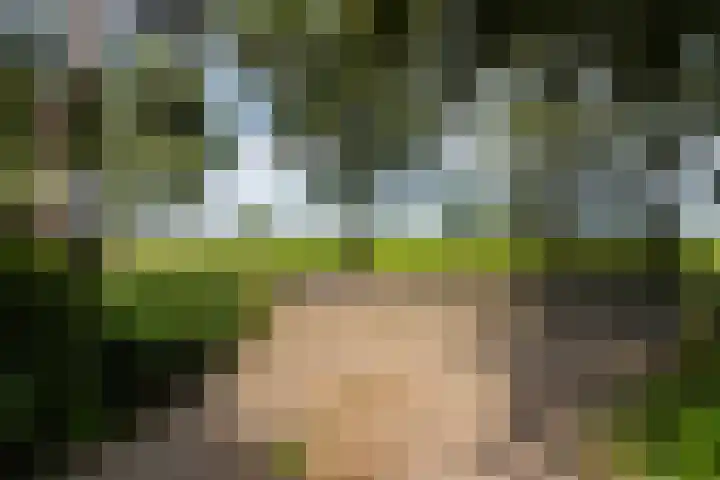 Bosweg 11 Witteveen thumbnail 9