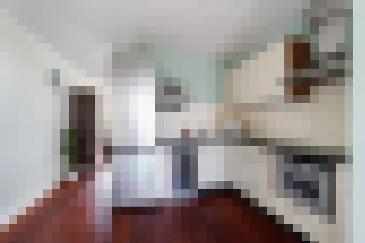 Bosweg 115 c Gouda thumbnail 27