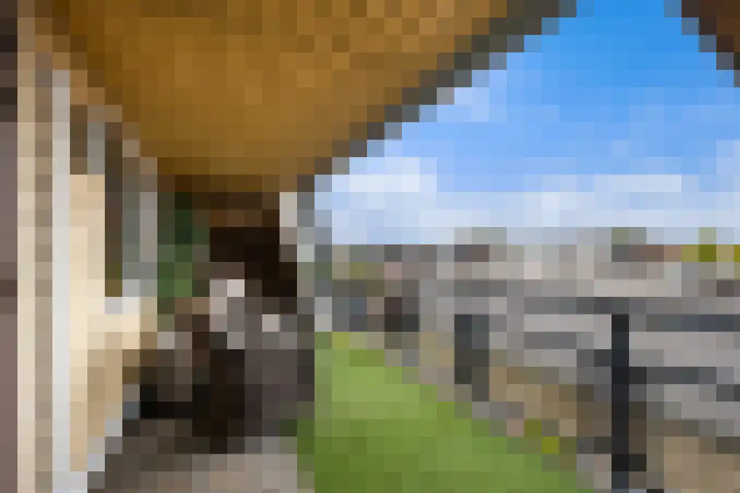 Bosweg 115 c Gouda thumbnail 30