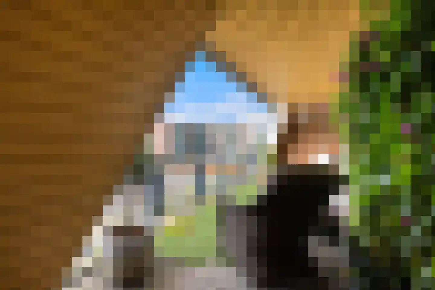 Bosweg 115 c Gouda thumbnail 36