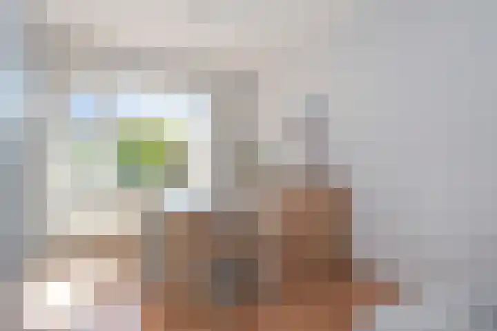 Bosweg 115 Geleen thumbnail 10