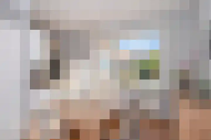 Bosweg 115 Geleen thumbnail 11