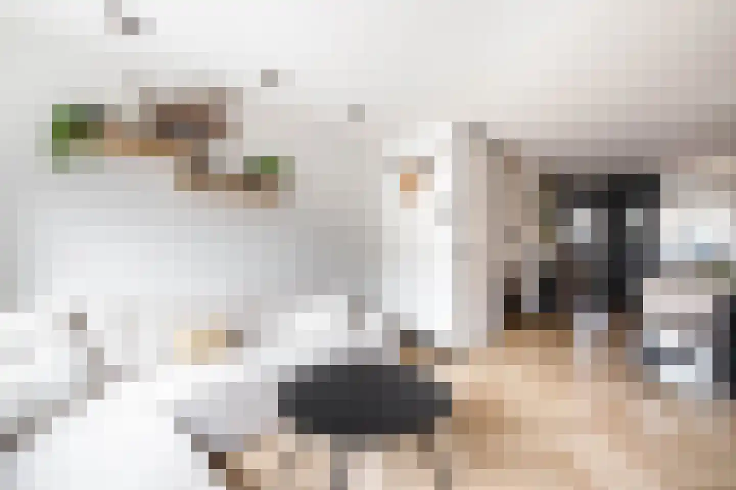 Bosweg 119 Gouda thumbnail 10